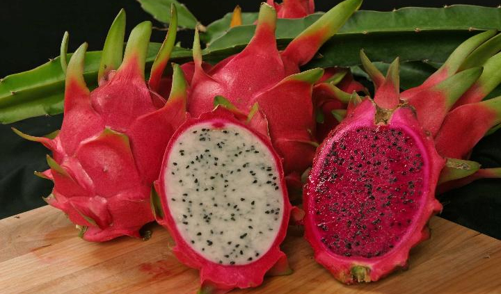 Dragon Fruit