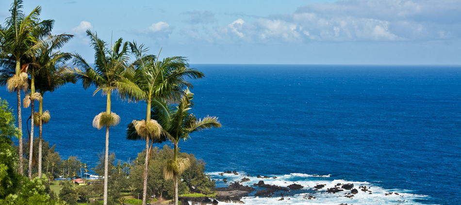 Laupahoehoe Point Beach Park