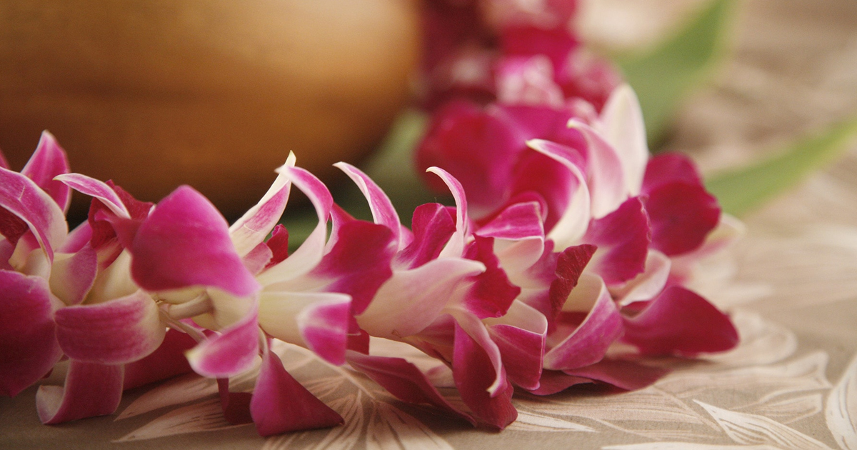 Hawaiian pink orchid flower lei