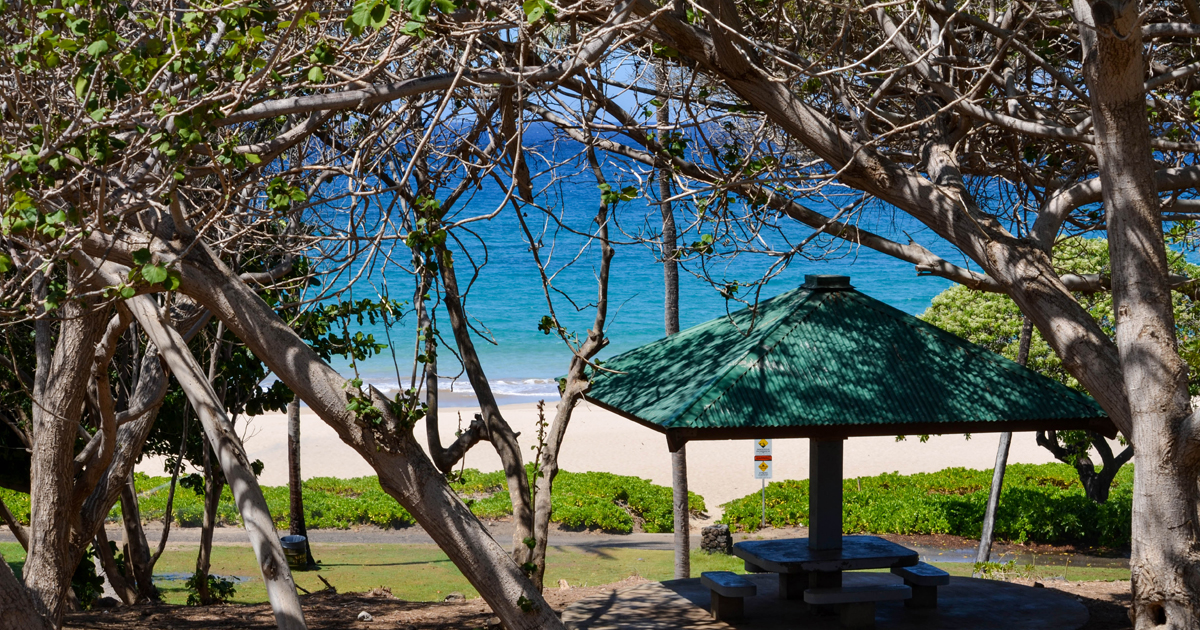 Hapuna Beach Picnic Table