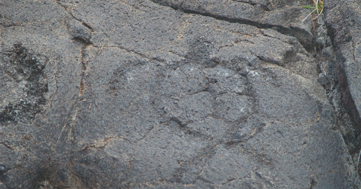 Petroglyphs at Pu'uloa