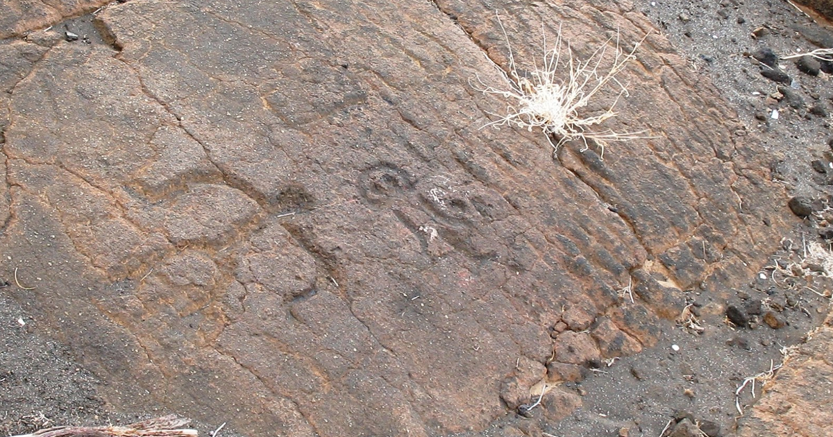 Puako Petroglyphs