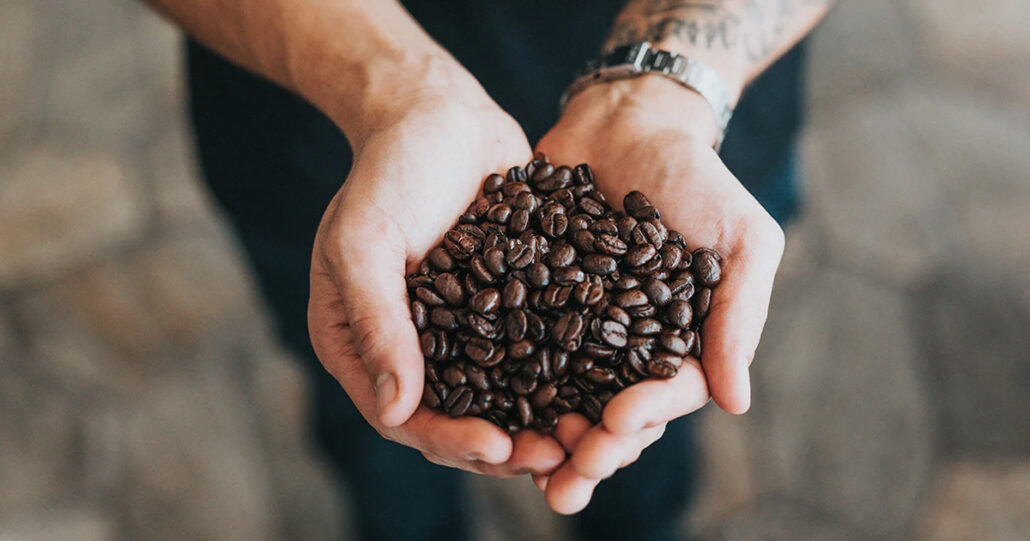 Handful of roasted Kona coffee