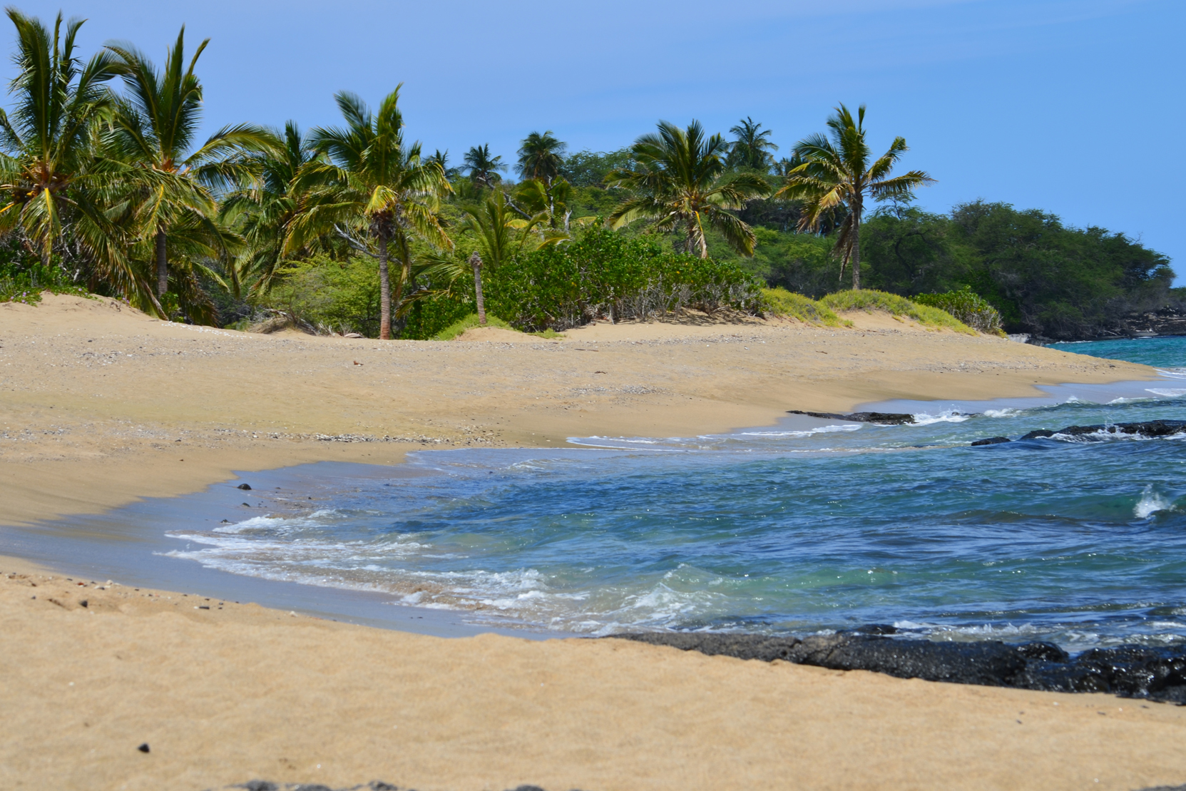How To Plan An Eco Friendly Vacation On The Big Island Of Hawaii 