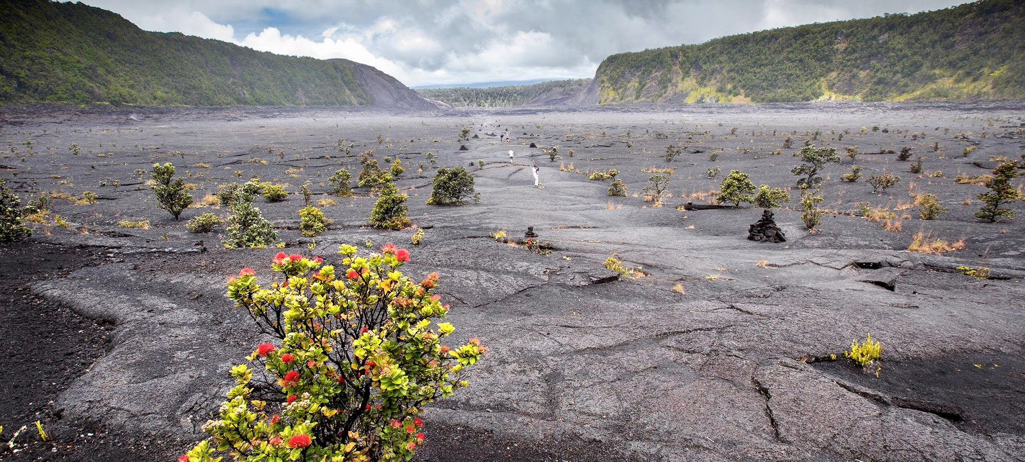 Kilauea Iki Trail