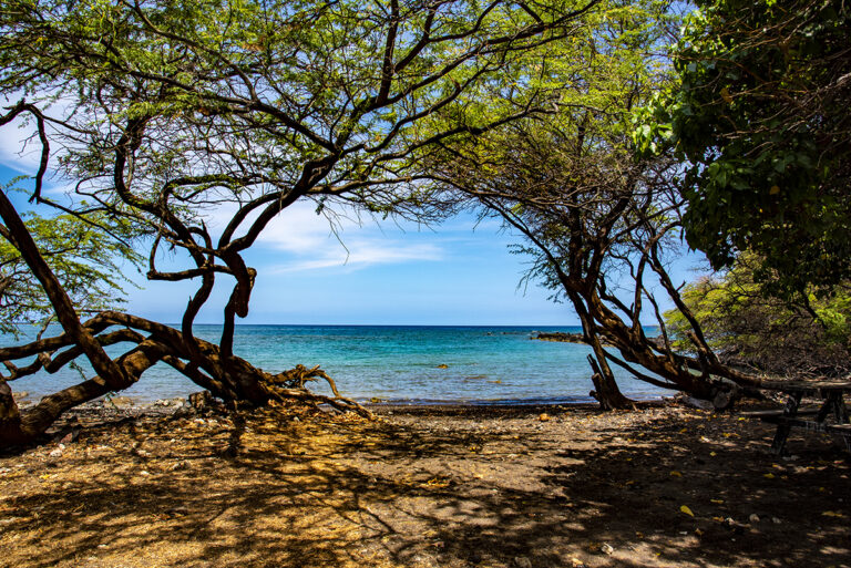 Best Picnic Spots on the Kohala Coast